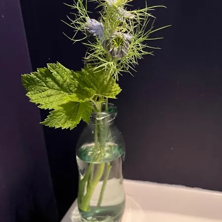 Comme Petite Maison Apartment