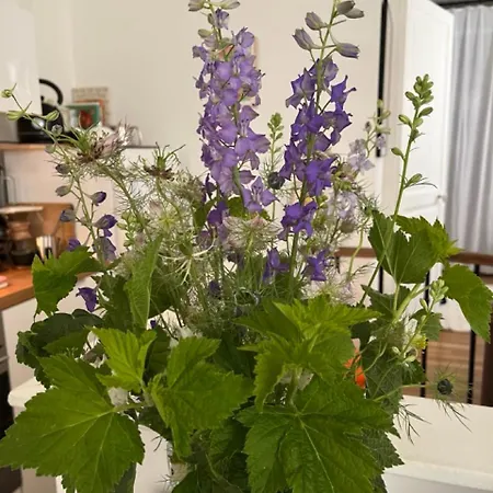 Comme Petite Maison Apartment Paris