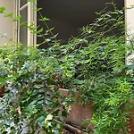 Comme Une Petite Maison