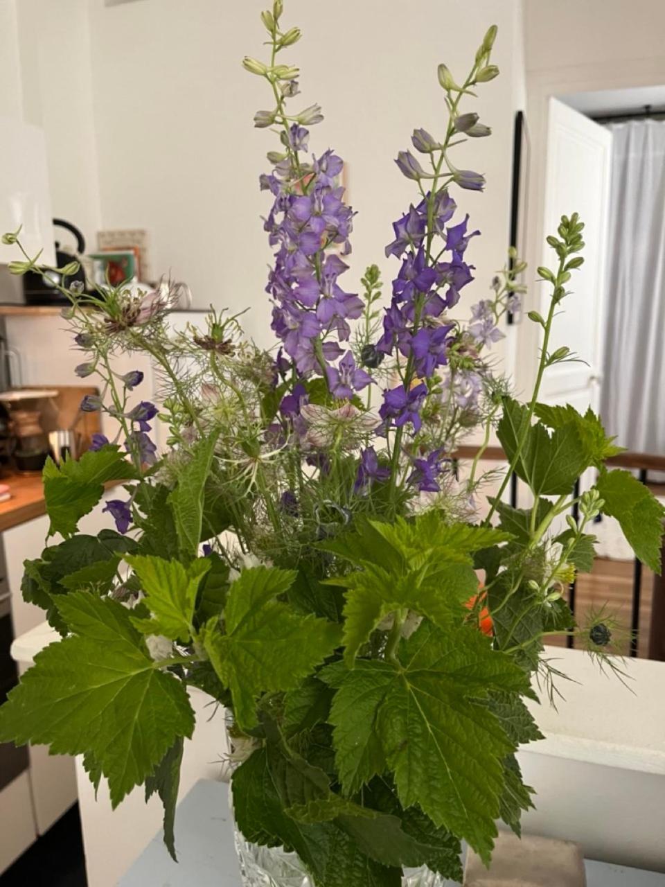 Comme Petite Maison Apartment Paris